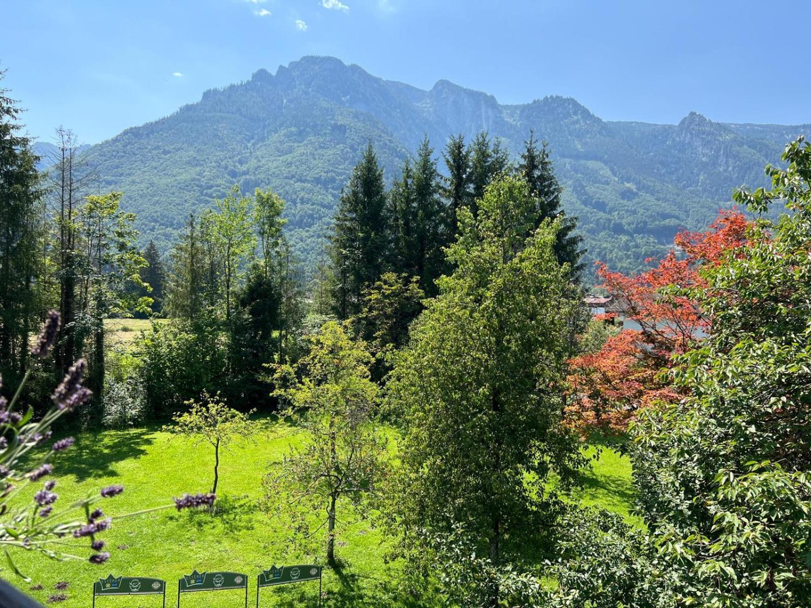 Esterer Grödig Buitenkant foto