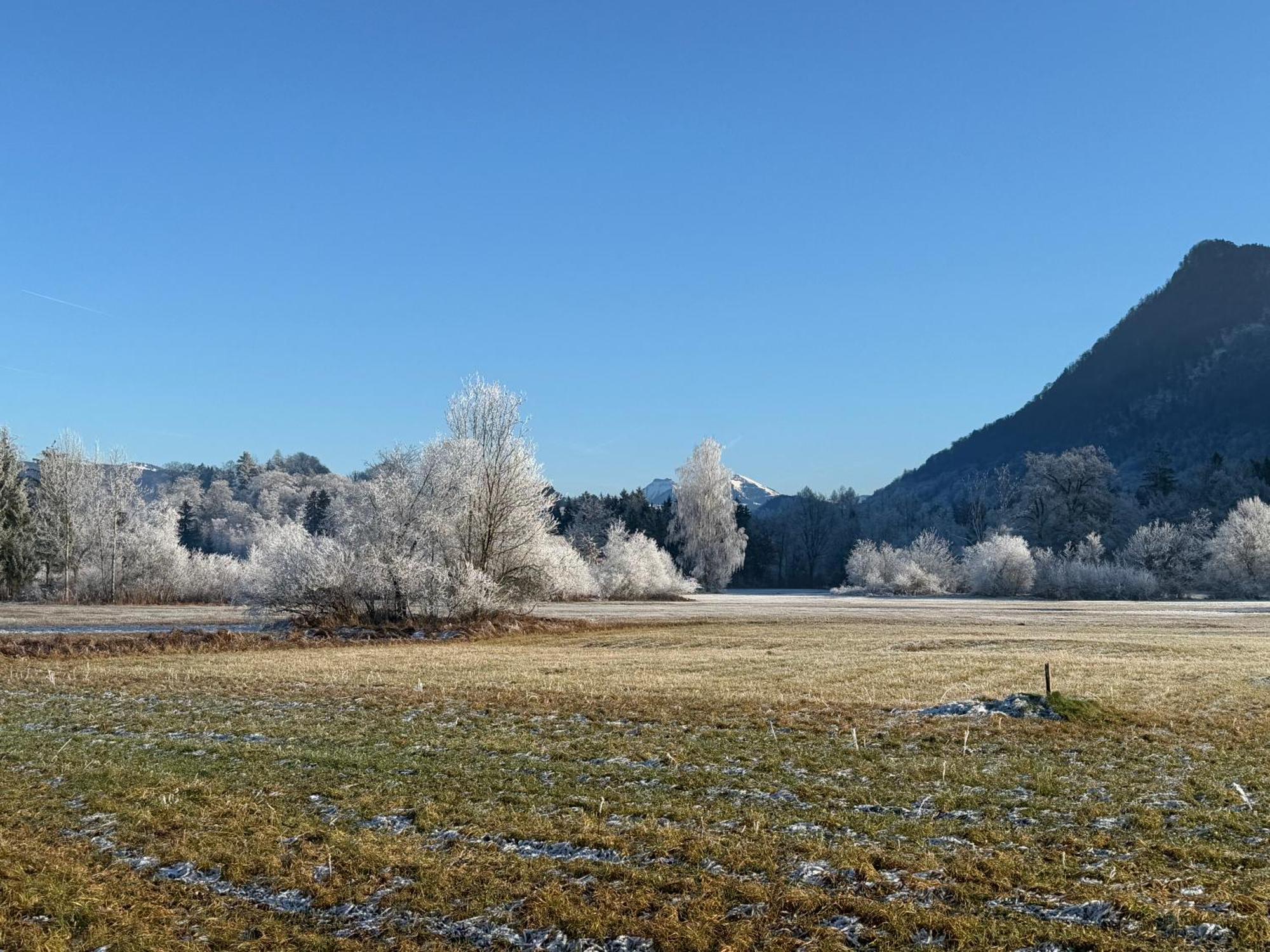 Esterer Grödig Buitenkant foto
