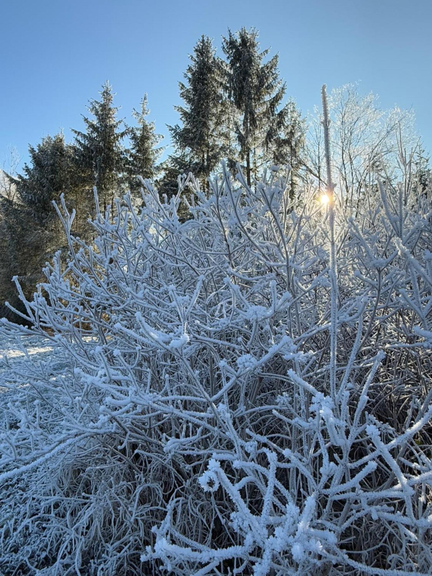 Esterer Grödig Buitenkant foto
