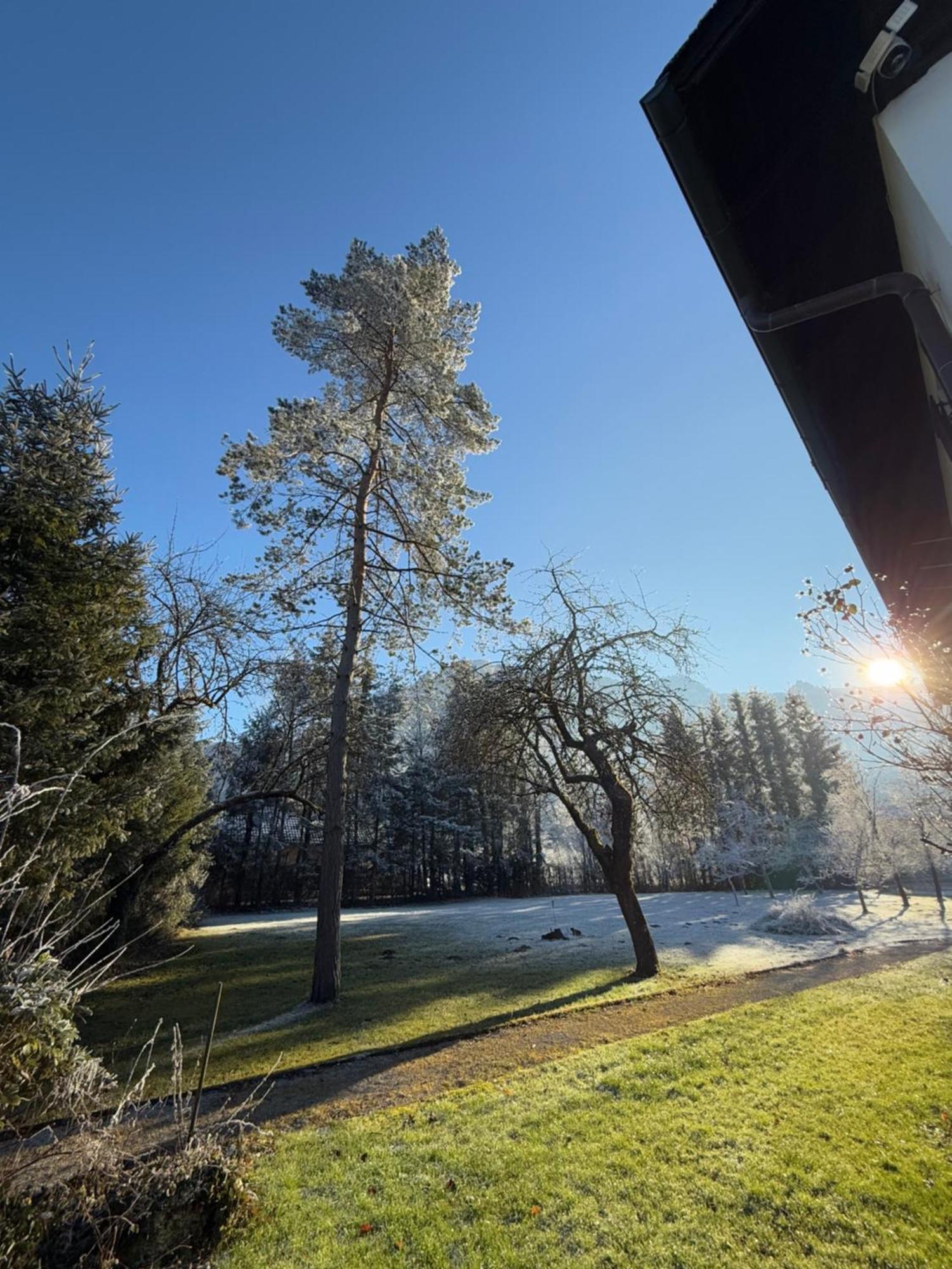 Esterer Grödig Buitenkant foto